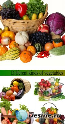 ассортимент фруктов и овощей